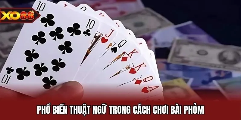 Phổ biến thuật ngữ trong cách chơi bài phỏm